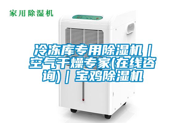 冷凍庫專用除濕機｜空氣干燥專家(在線咨詢)｜寶雞除濕機