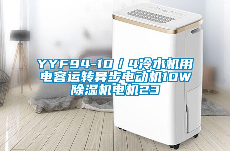 YYF94-10／4冷水機(jī)用電容運(yùn)轉(zhuǎn)異步電動(dòng)機(jī)10W除濕機(jī)電機(jī)23