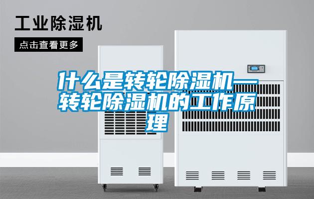 什么是轉輪除濕機—轉輪除濕機的工作原理