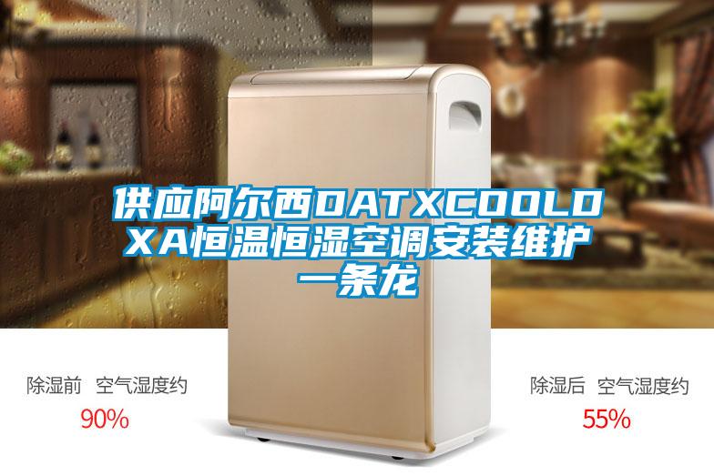 供應(yīng)阿爾西DATXCOOLDXA恒溫恒濕空調(diào)安裝維護(hù)一條龍