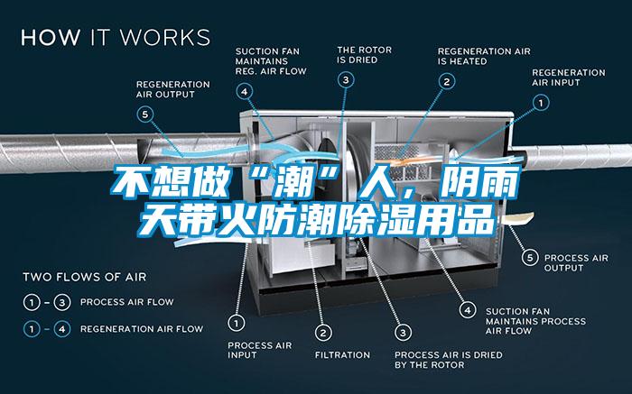 不想做“潮”人，陰雨天帶火防潮除濕用品