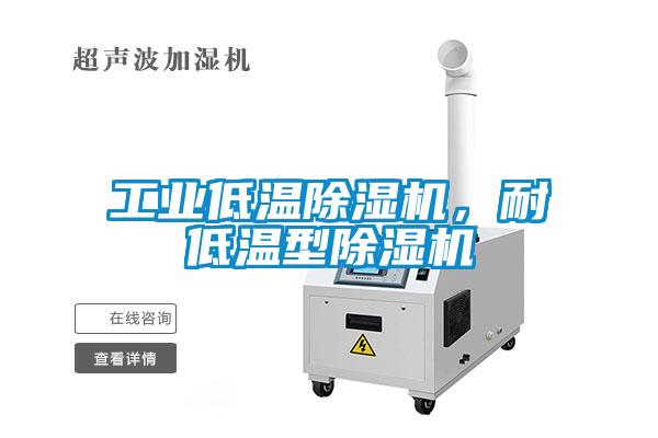 工業(yè)低溫除濕機，耐低溫型除濕機