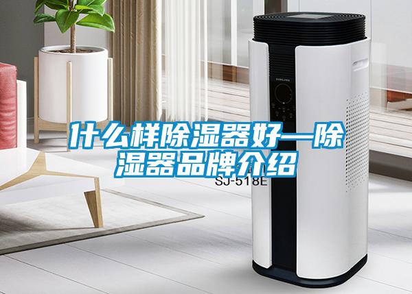 什么樣除濕器好—除濕器品牌介紹