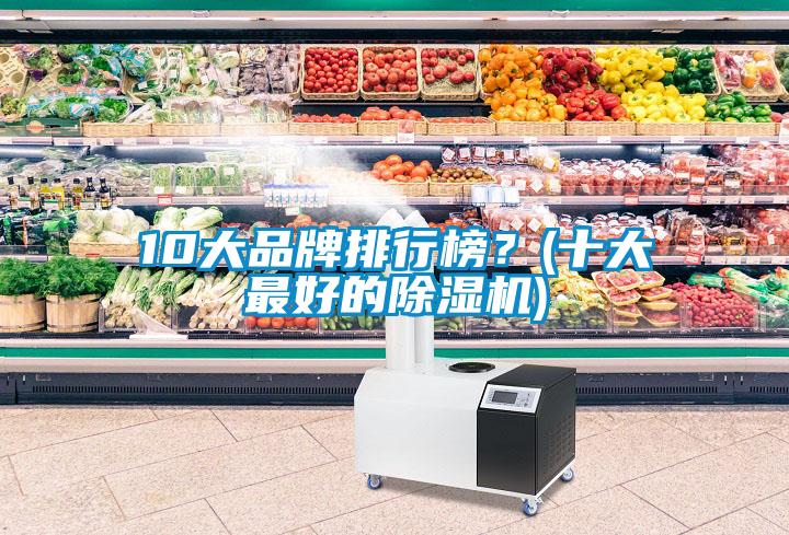 10大品牌排行榜？(十大最好的除濕機(jī))