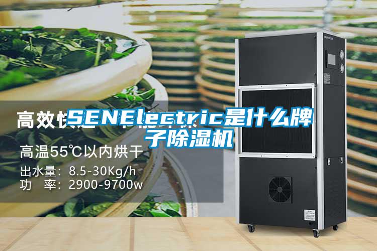 SENElectric是什么牌子除濕機(jī)