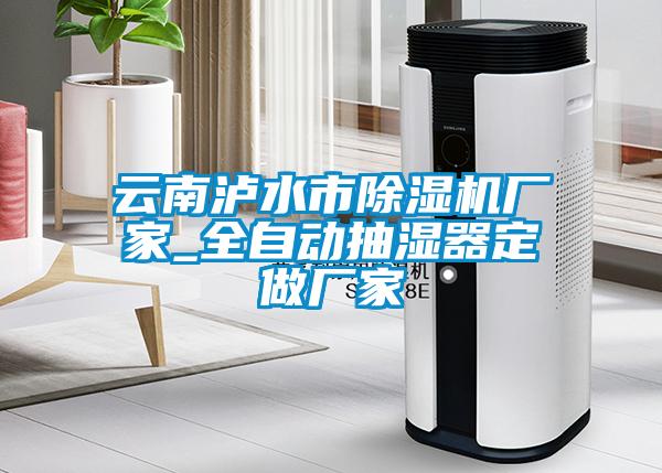 云南瀘水市除濕機(jī)廠家_全自動抽濕器定做廠家