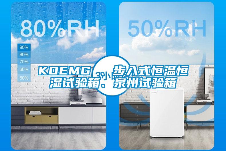 KOEMG 、步入式恒溫恒濕試驗(yàn)箱、泉州試驗(yàn)箱