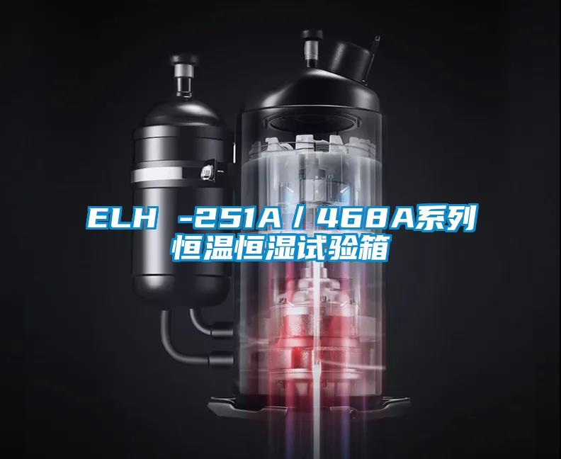 ELH -251A／468A系列恒溫恒濕試驗(yàn)箱