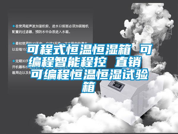 可程式恒溫恒濕箱 可編程智能程控 直銷 可編程恒溫恒濕試驗箱