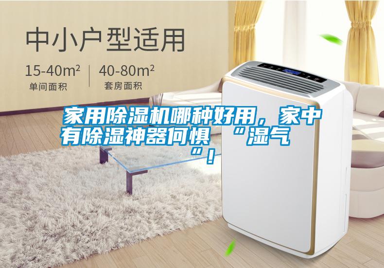 家用除濕機(jī)哪種好用，家中有除濕神器何懼 “濕氣 “！