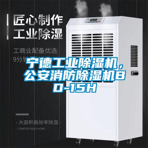 寧德工業(yè)除濕機(jī)，公安消防除濕機(jī)BD-15H