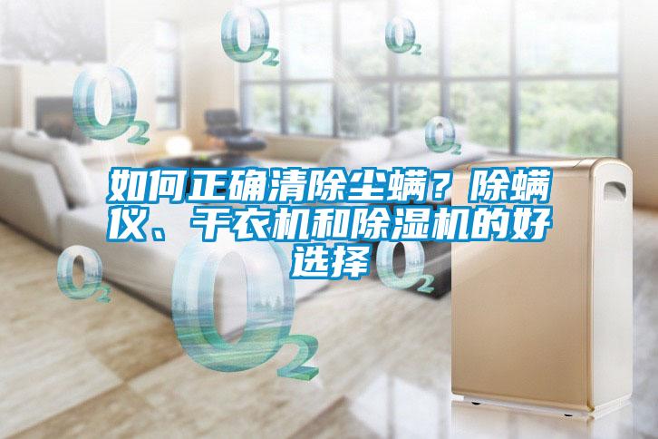 如何正確清除塵螨？除螨儀、干衣機和除濕機的好選擇