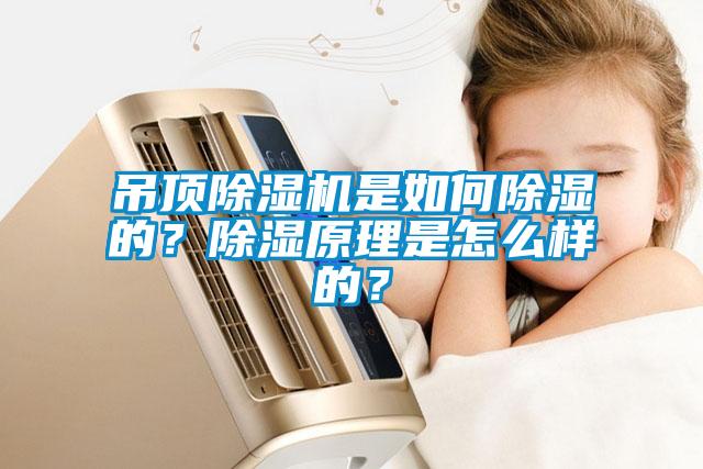 吊頂除濕機是如何除濕的？除濕原理是怎么樣的？