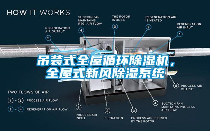 吊裝式全屋循環(huán)除濕機(jī)，全屋式新風(fēng)除濕系統(tǒng)