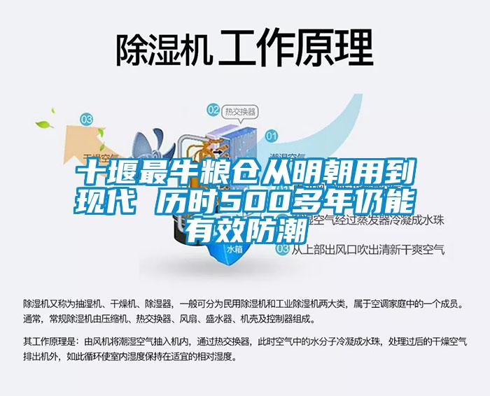 十堰最牛糧倉從明朝用到現(xiàn)代 歷時500多年仍能有效防潮