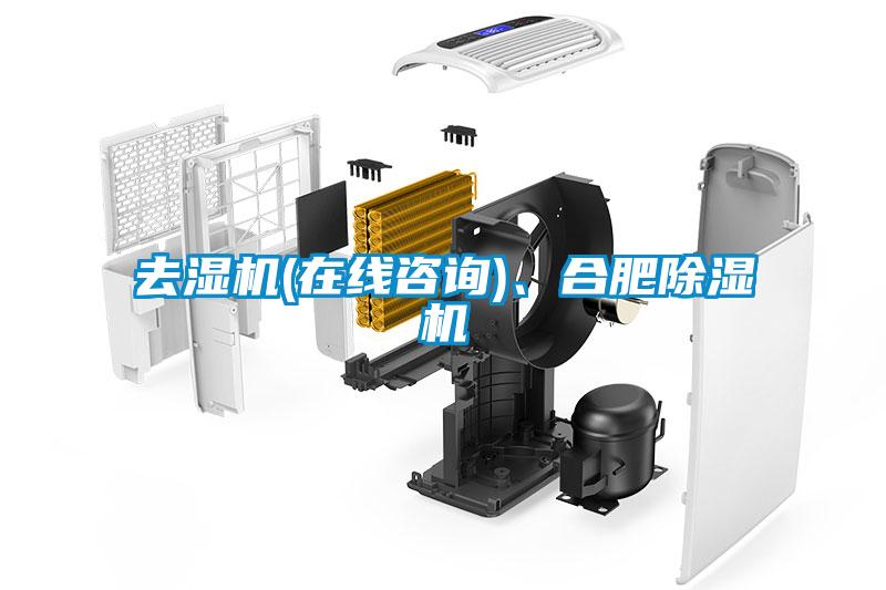 去濕機(在線咨詢)、合肥除濕機