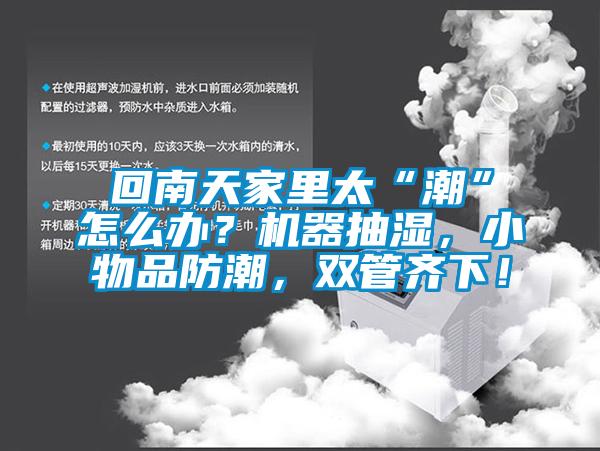 回南天家里太“潮”怎么辦？機(jī)器抽濕，小物品防潮，雙管齊下！