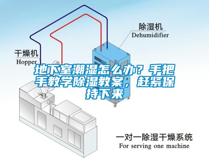 地下室潮濕怎么辦？手把手教學(xué)除濕教案，趕緊保持下來