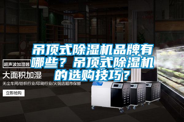 吊頂式除濕機品牌有哪些？吊頂式除濕機的選購技巧？