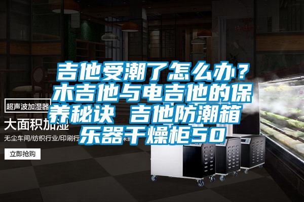 吉他受潮了怎么辦？木吉他與電吉他的保養(yǎng)秘訣 吉他防潮箱 樂器干燥柜50