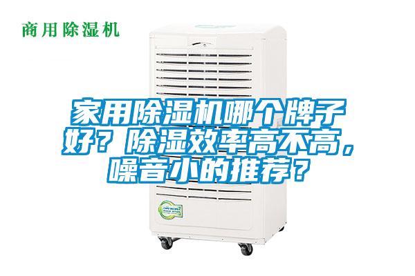 家用除濕機哪個牌子好？除濕效率高不高，噪音小的推薦？