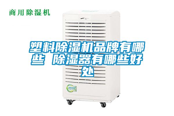 塑料除濕機品牌有哪些 除濕器有哪些好處