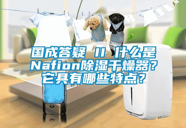 國成答疑 II 什么是Nafion除濕干燥器？它具有哪些特點？