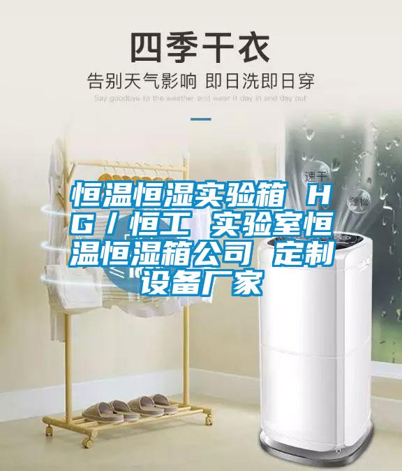 恒溫恒濕實驗箱 HG／恒工 實驗室恒溫恒濕箱公司 定制設(shè)備廠家