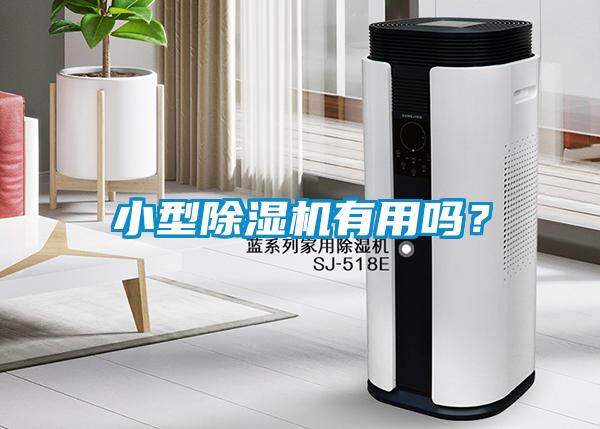 小型除濕機有用嗎？