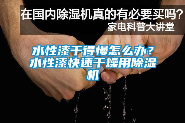 水性漆干得慢怎么辦？水性漆快速干燥用除濕機