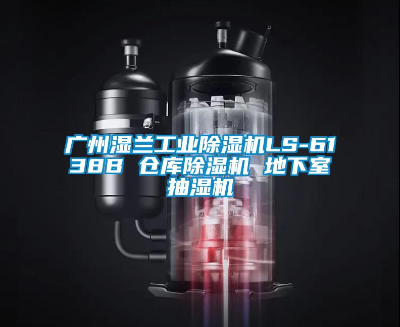 廣州濕蘭工業(yè)除濕機LS-6138B 倉庫除濕機 地下室抽濕機