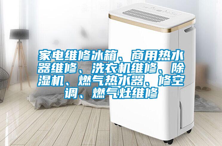 家電維修冰箱、商用熱水器維修、洗衣機(jī)維修、除濕機(jī)、燃?xì)鉄崴鳌⑿蘅照{(diào)、燃?xì)庠罹S修