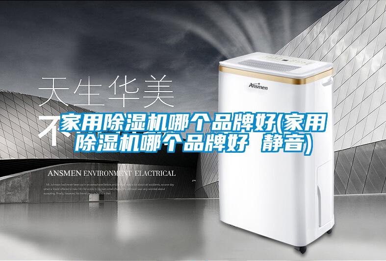 家用除濕機哪個品牌好(家用除濕機哪個品牌好 靜音)