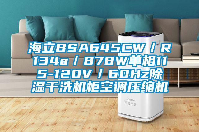 海立BSA645CW／R134a／878W單相115-120V／60Hz除濕干洗機柜空調(diào)壓縮機