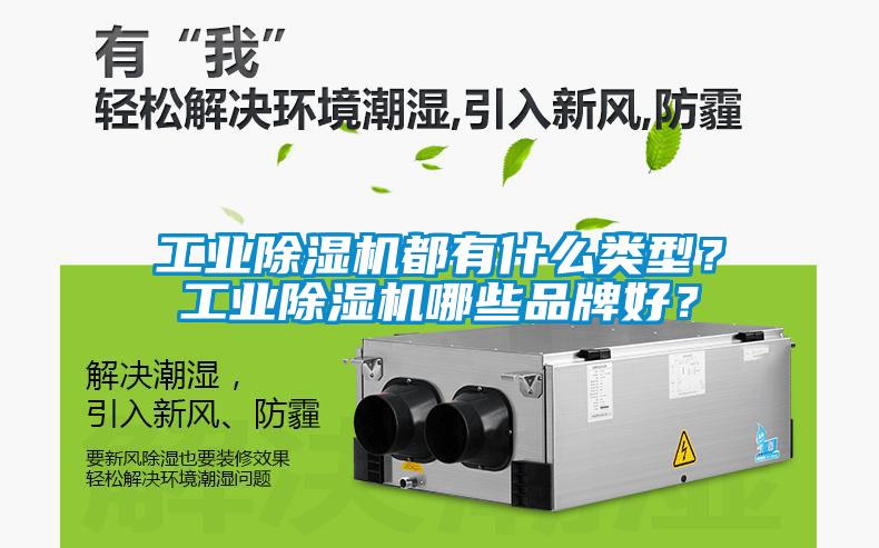 工業(yè)除濕機(jī)都有什么類型？工業(yè)除濕機(jī)哪些品牌好？