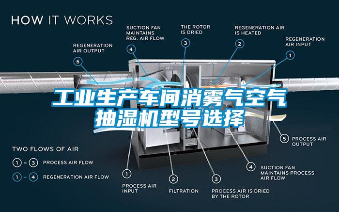 工業(yè)生產(chǎn)車間消霧氣空氣抽濕機(jī)型號選擇