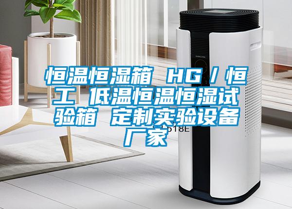 恒溫恒濕箱 HG／恒工 低溫恒溫恒濕試驗箱 定制實驗設(shè)備廠家