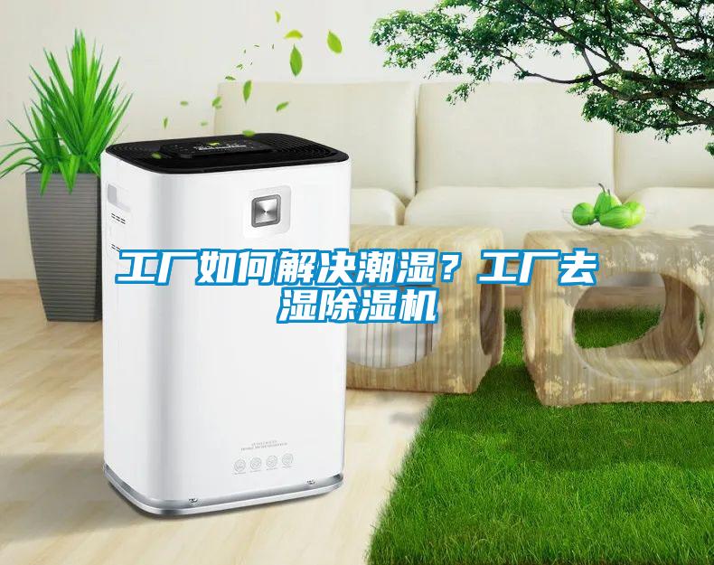 工廠如何解決潮濕？工廠去濕除濕機