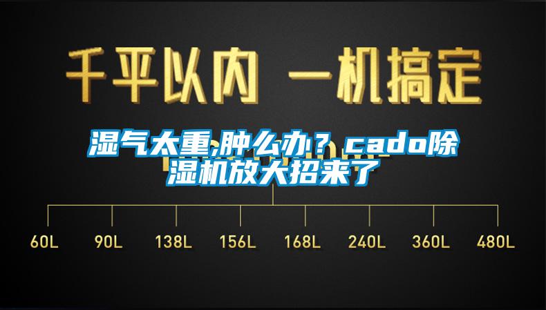 濕氣太重,腫么辦？cado除濕機放大招來了