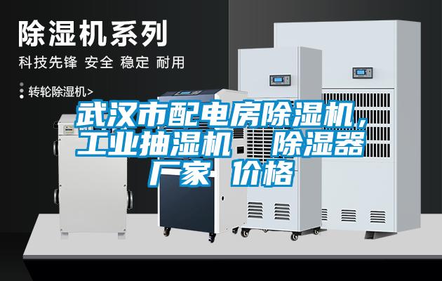 武漢市配電房除濕機(jī)，工業(yè)抽濕機(jī)  除濕器廠家 價(jià)格