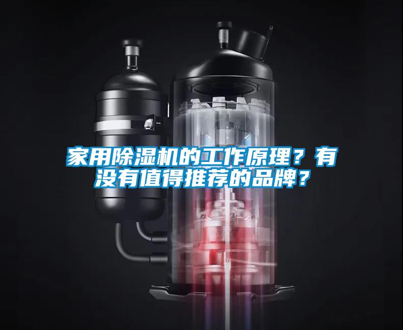 家用除濕機的工作原理？有沒有值得推薦的品牌？