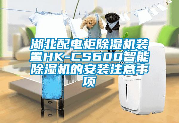 湖北配電柜除濕機(jī)裝置HK-CS600智能除濕機(jī)的安裝注意事項