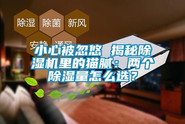 小心被忽悠 揭秘除濕機里的貓膩：兩個除濕量怎么選？