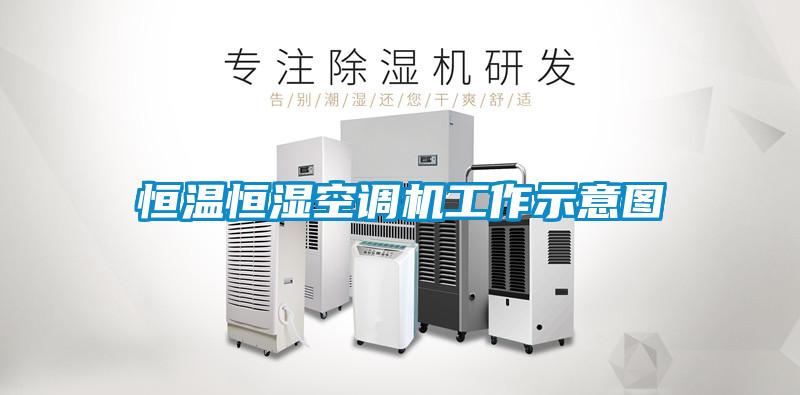 恒溫恒濕空調(diào)機工作示意圖