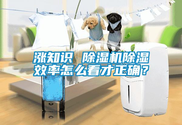 漲知識(shí) 除濕機(jī)除濕效率怎么看才正確？