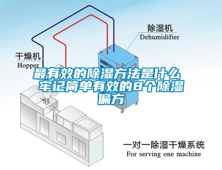 最有效的除濕方法是什么 牢記簡單有效的8個除濕偏方