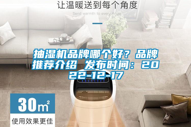 抽濕機(jī)品牌哪個(gè)好？品牌推薦介紹 發(fā)布時(shí)間：2022-12-17