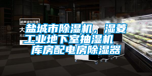 鹽城市除濕機，濕菱工業(yè)地下室抽濕機  庫房配電房除濕器