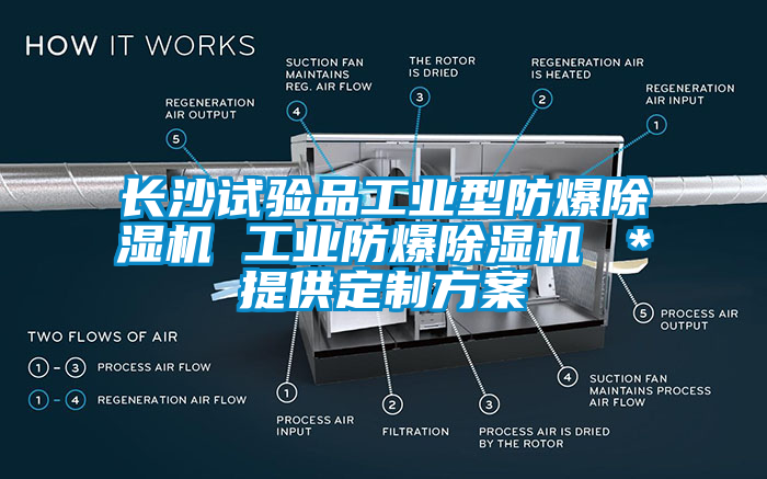 長沙試驗品工業(yè)型防爆除濕機(jī) 工業(yè)防爆除濕機(jī) ＊提供定制方案