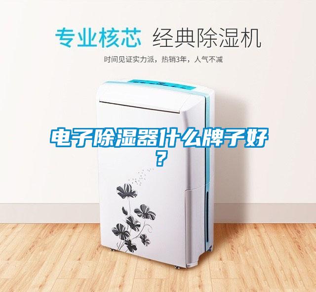 電子除濕器什么牌子好？